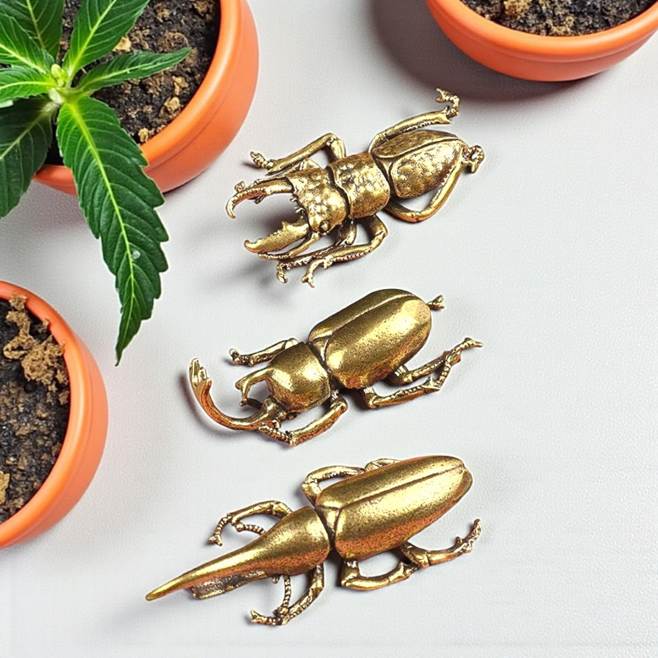 Brass Mini Beetle Family Collectible Figurines - Set Of 3