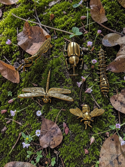Brass Mini Insect Collectible Figurines - Set Of 5