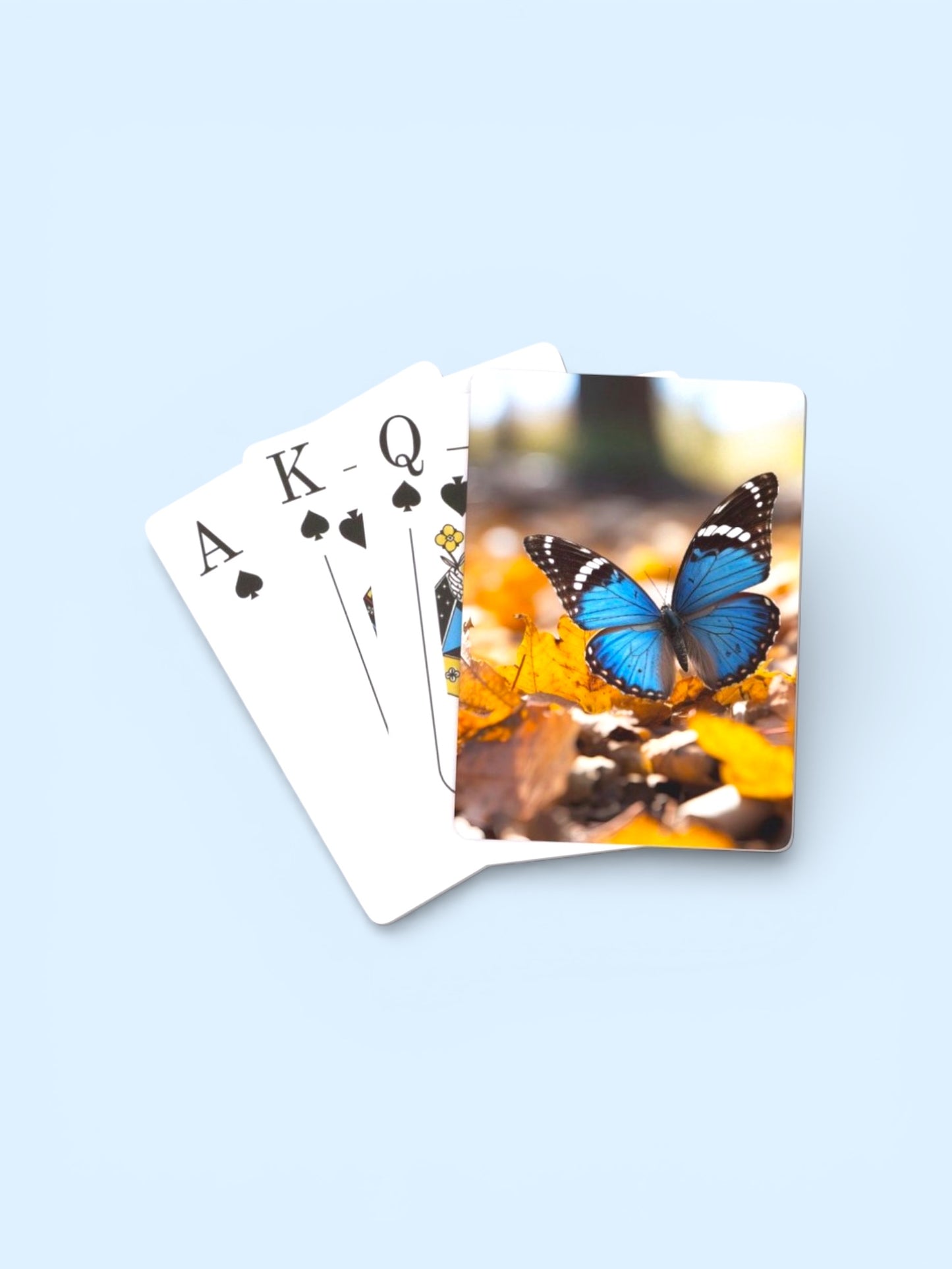 Animal Card Deck with Acrylic Case