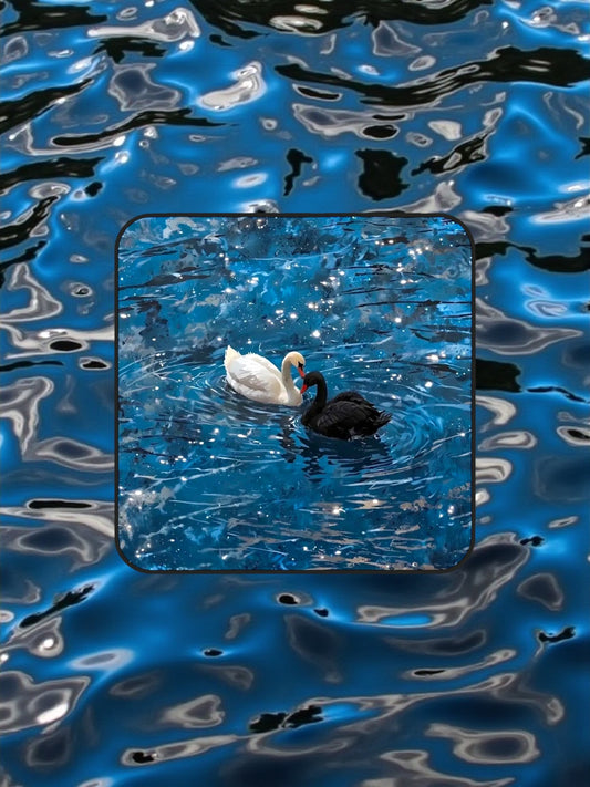 Swan Lovers Coaster Set