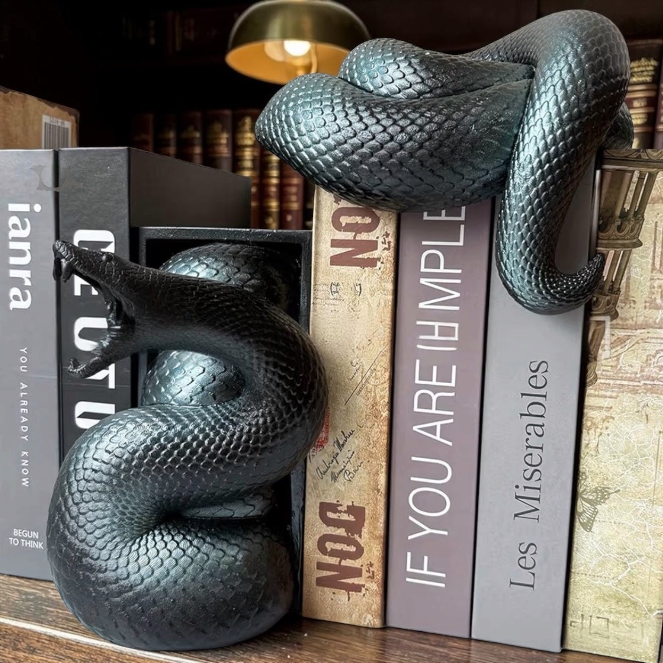 Black Snake Bookends