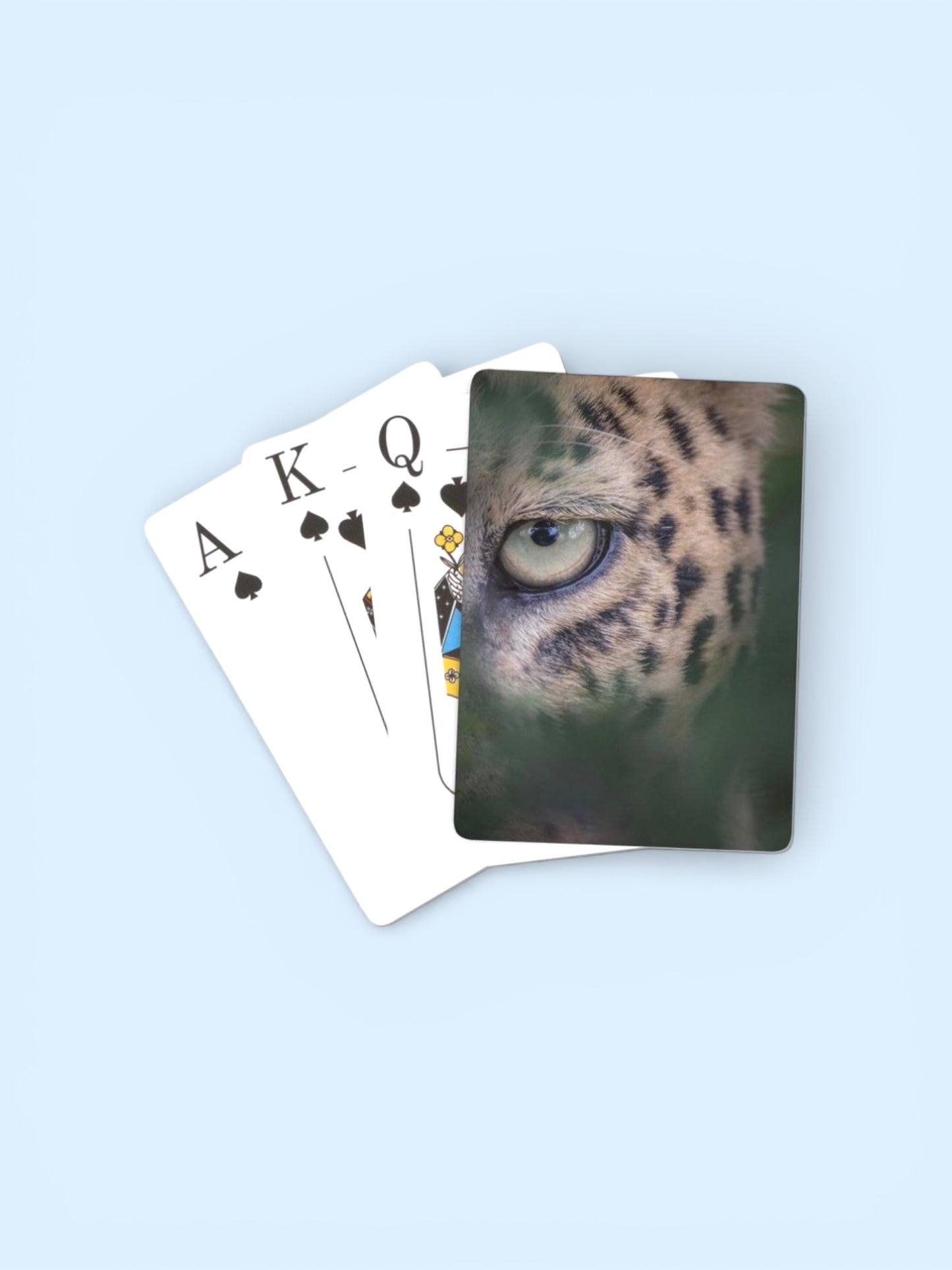 Animal Card Deck with Acrylic Case