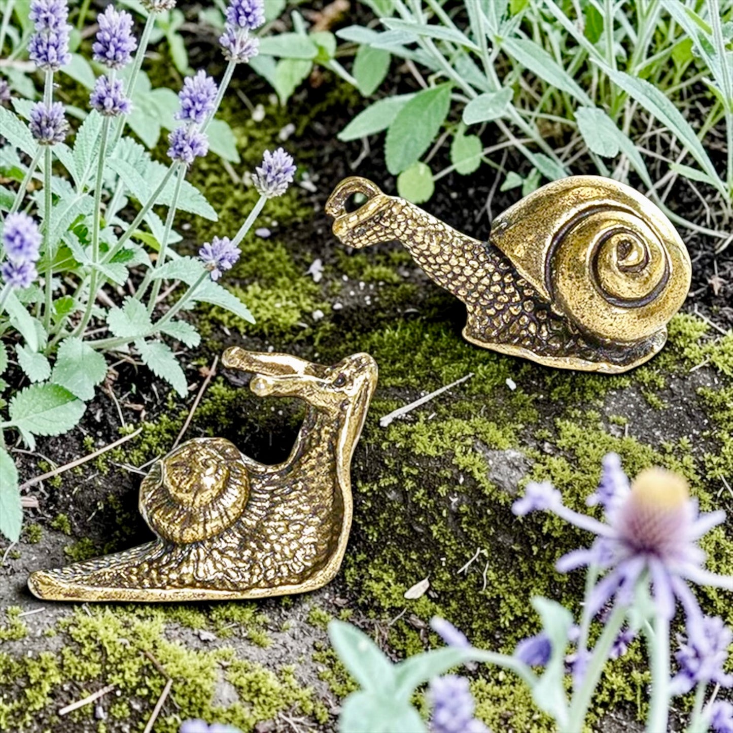 Brass Mini Snail Pal Figurines - Set Of 2