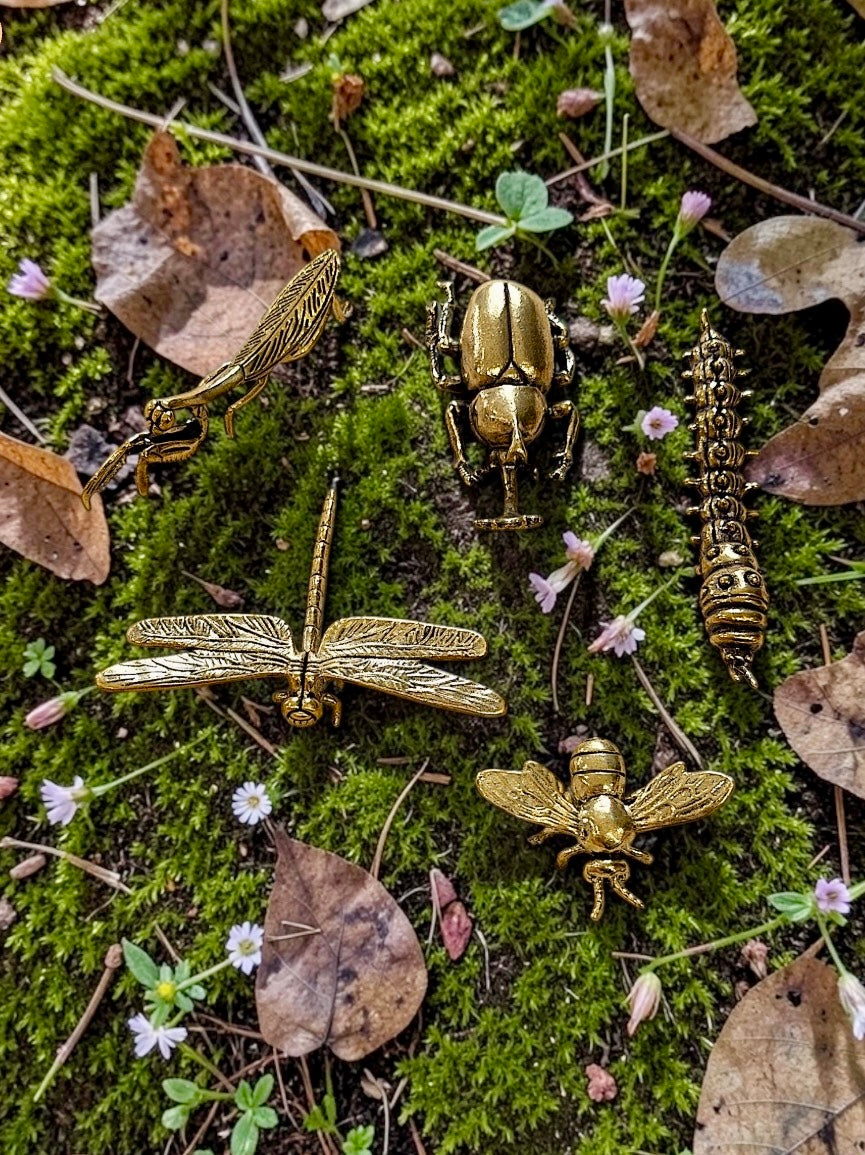 Brass Mini Bug Figurine Packs