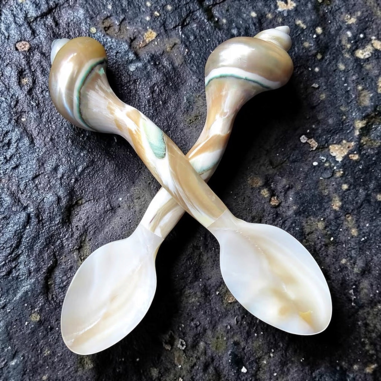 Mother Of Pearl Shell Shaped Spoon -Set of 2
